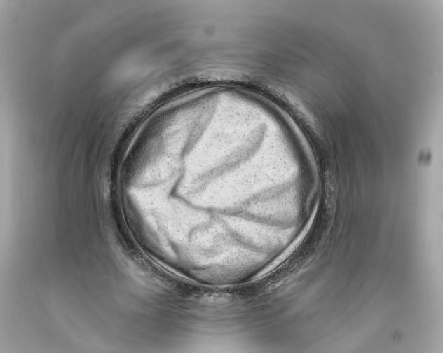 X0000091090631200709041303