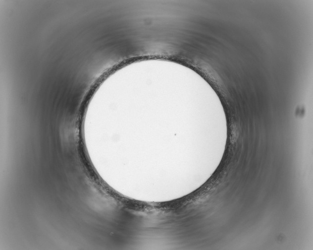 X0000091090632200709041303