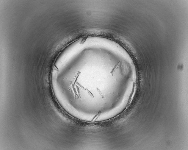 X0000091090633200709041303