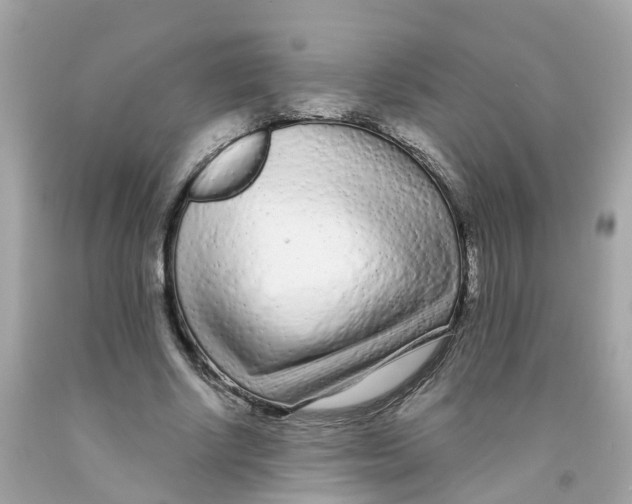 X0000091090634200709041303
