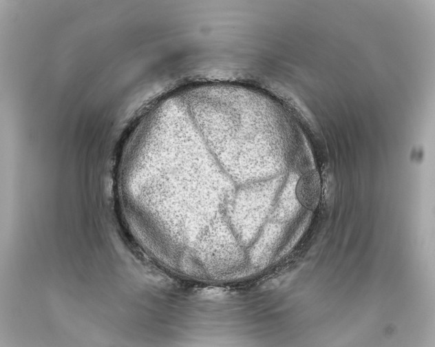 X0000091090635200709041303