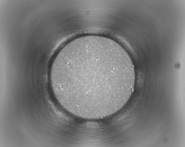 X0000091090636200709041303