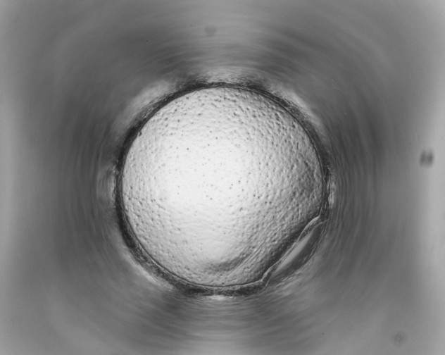 X0000091090637200709041303