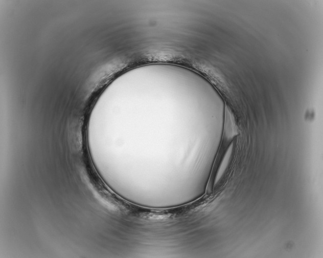 X0000091090638200709041303