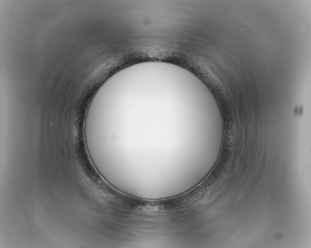 X0000091090639200709041303