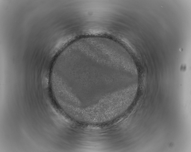 X0000091090640200709041303