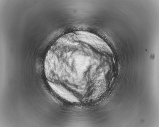 X0000091090641200709041303