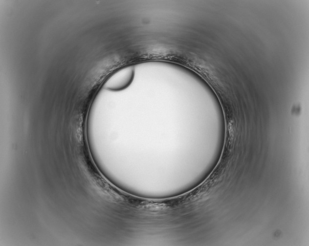 X0000091090642200709041303