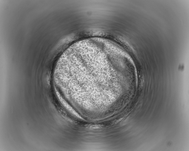 X0000091090643200709041303