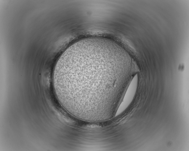 X0000091090644200709041303
