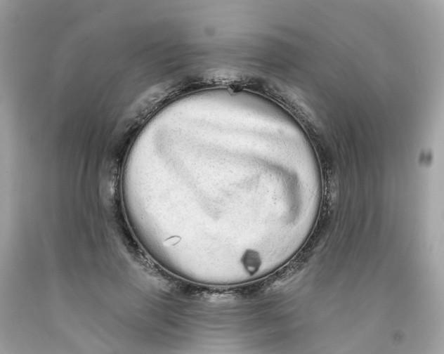 X0000091090645200709041303