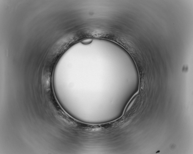 X0000091090646200709041303