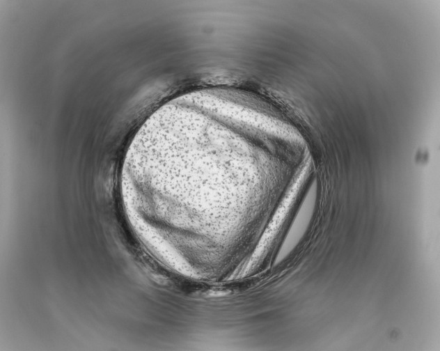 X0000091090647200709041303