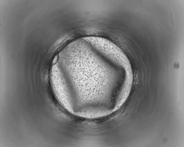 X0000091090648200709041303