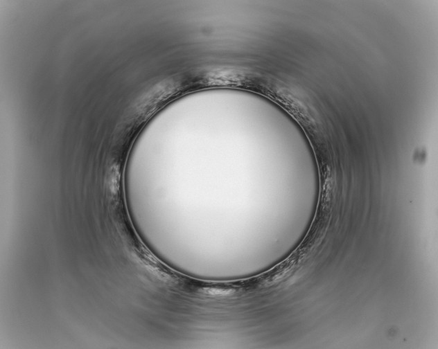 X0000091090649200709041303