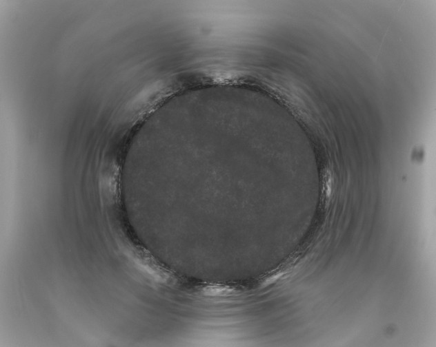 X0000091090650200709041303