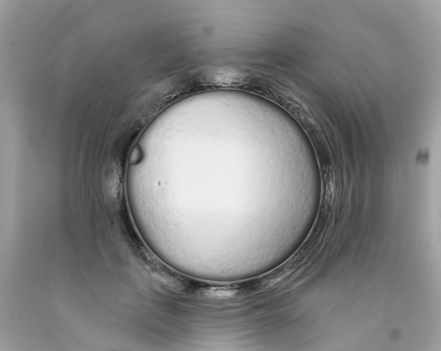 X0000091090651200709041303