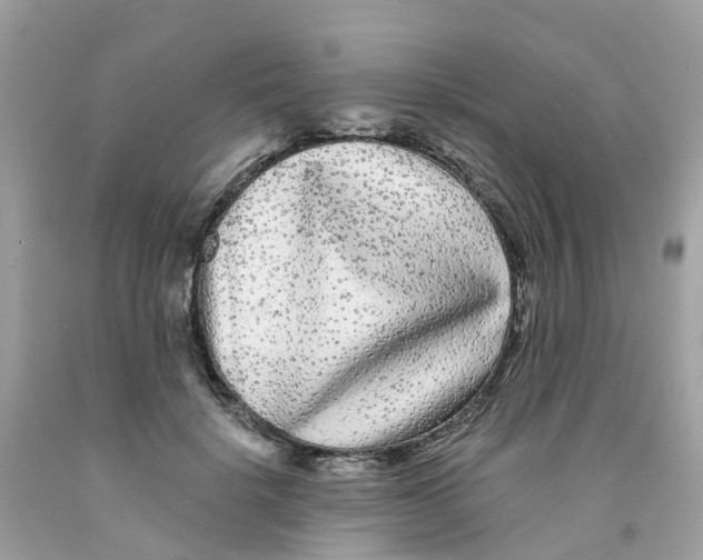 X0000091090652200709041303