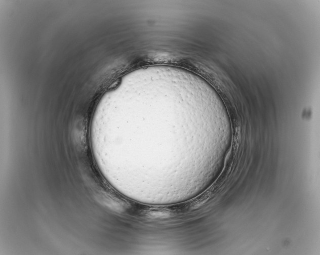 X0000091090653200709041303