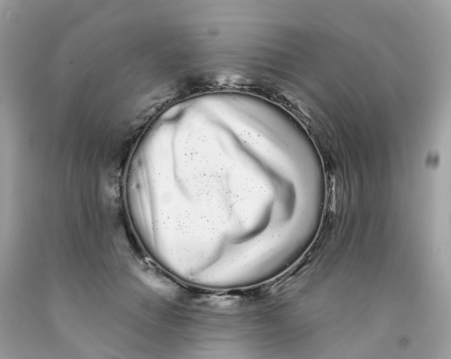 X0000091090654200709041303