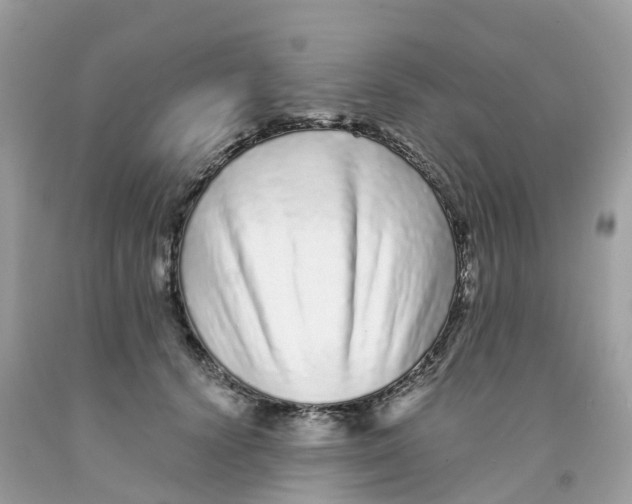 X0000091090656200709041303