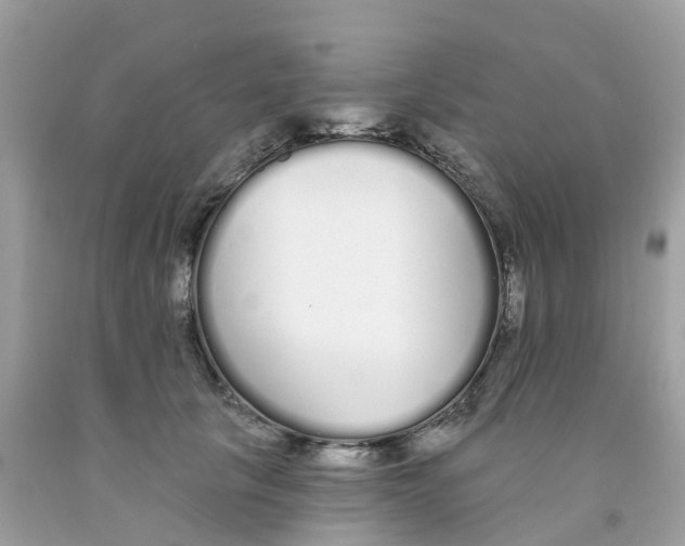 X0000091090657200709041303