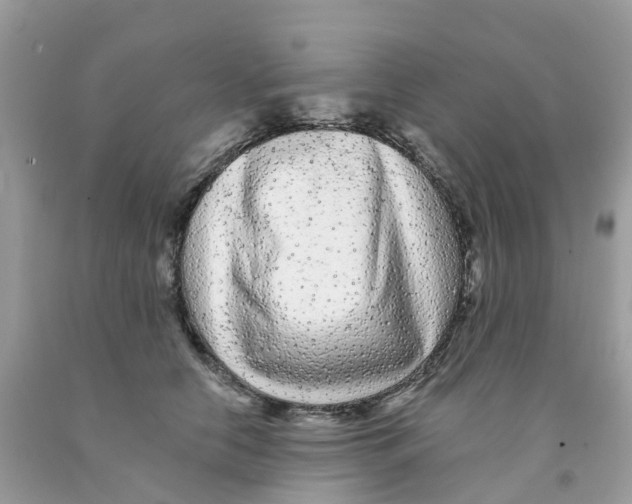 X0000091090658200709041303