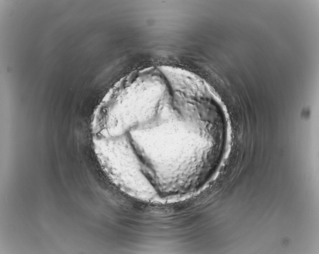 X0000091090659200709041303