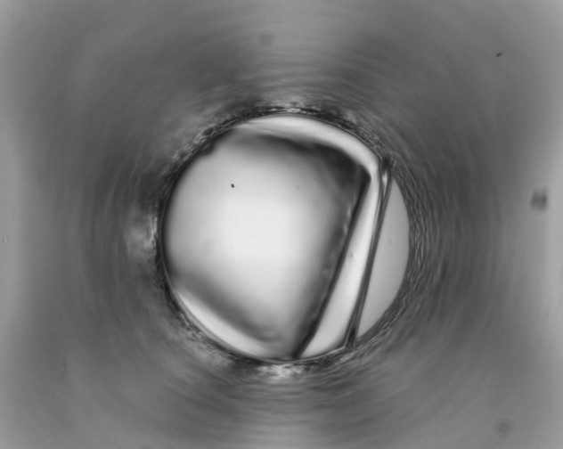 X0000091090660200709041303