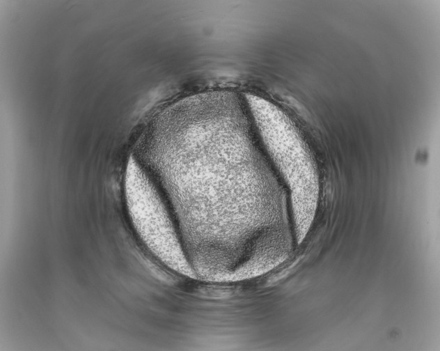 X0000091090661200709041303