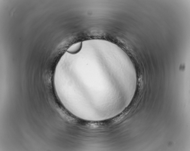 X0000091090662200709041303