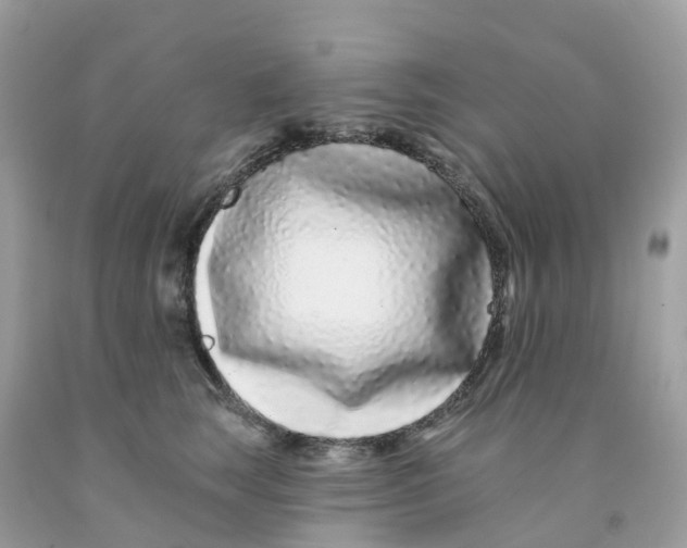 X0000091090663200709041303