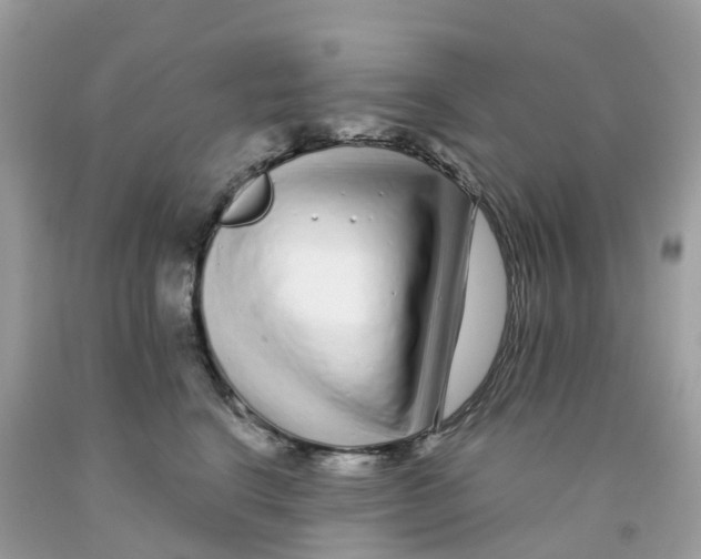 X0000091090664200709041303