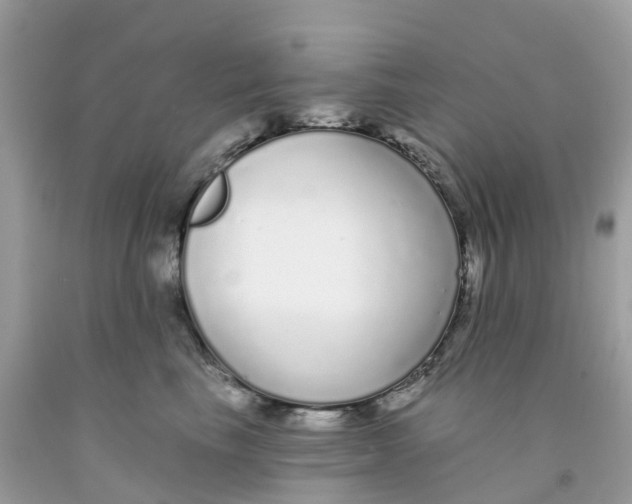 X0000091090665200709041303