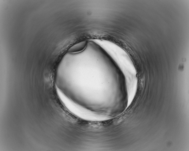 X0000091090666200709041303