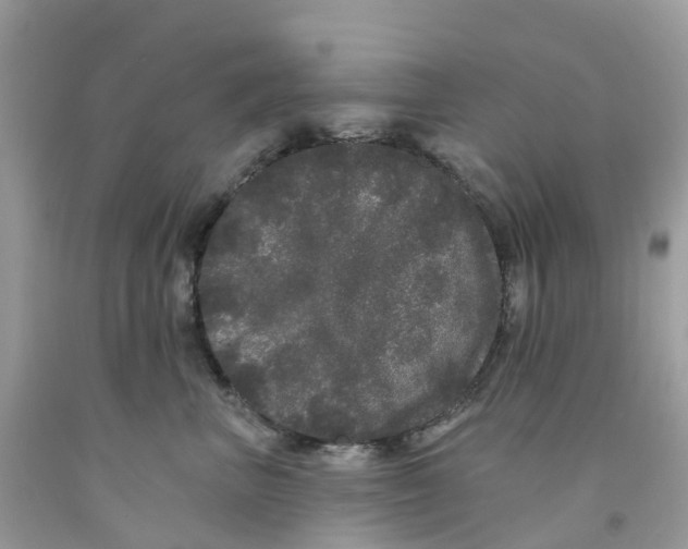 X0000091090667200709041303