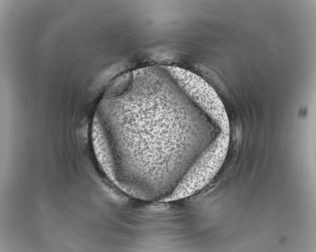 X0000091090668200709041303