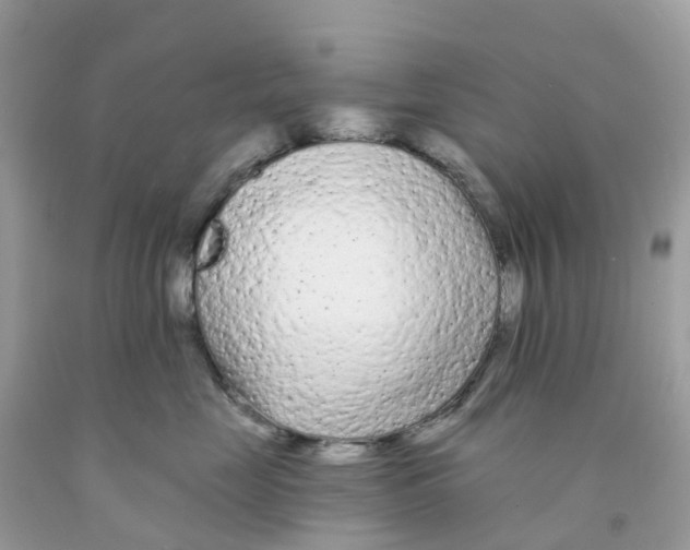 X0000091090669200709041303