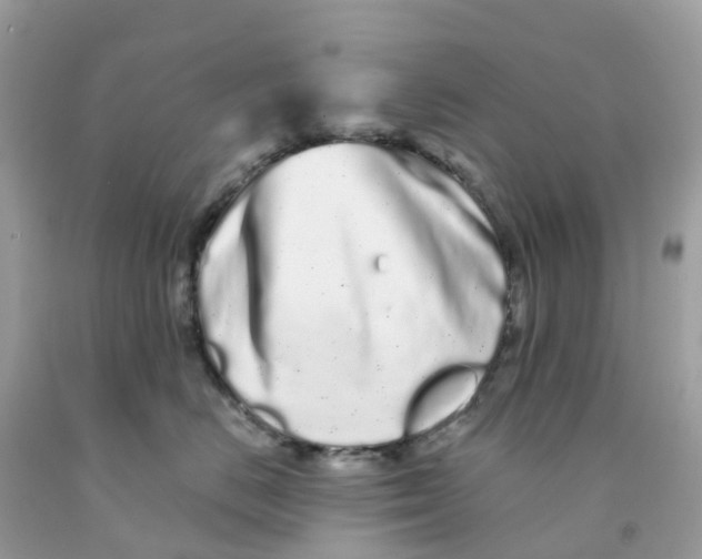 X0000091090670200709041303