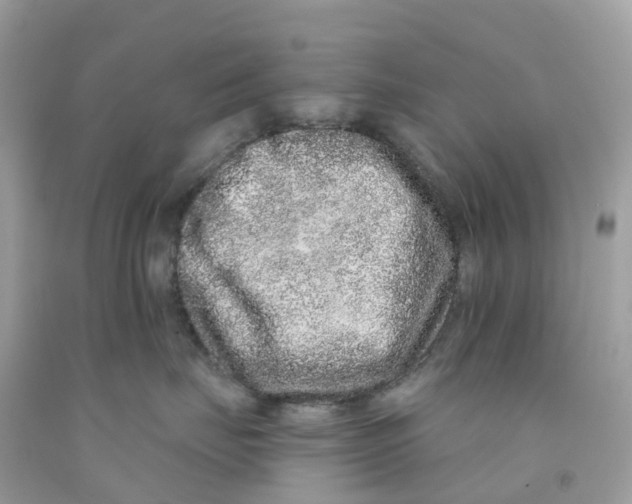 X0000091090671200709041303