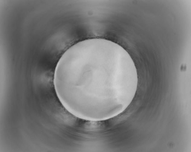 X0000091090672200709041303