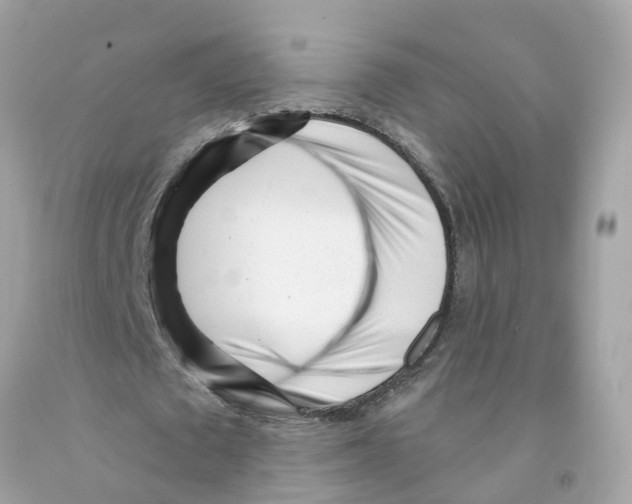 X0000091090673200709041303