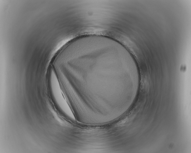 X0000091090674200709041303