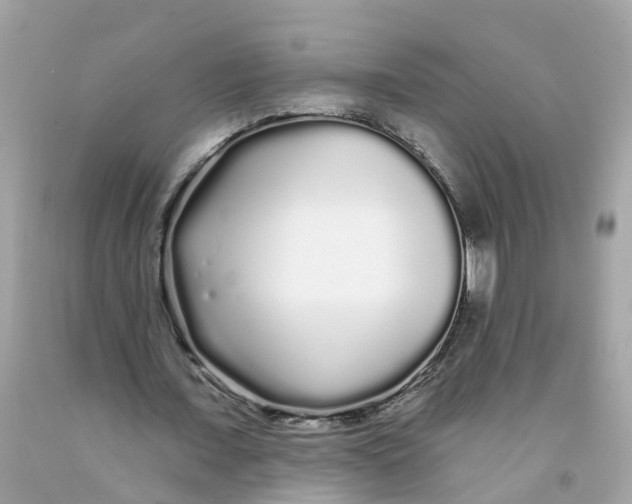 X0000091090675200709041303