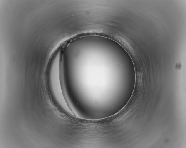 X0000091090676200709041303