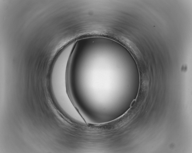X0000091090677200709041303