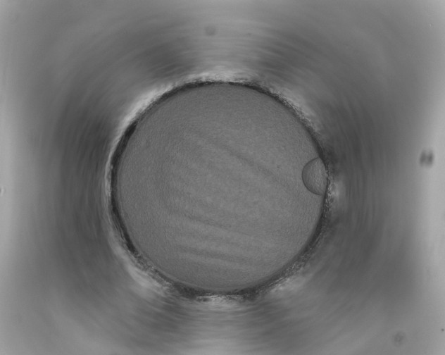 X0000091090678200709041303