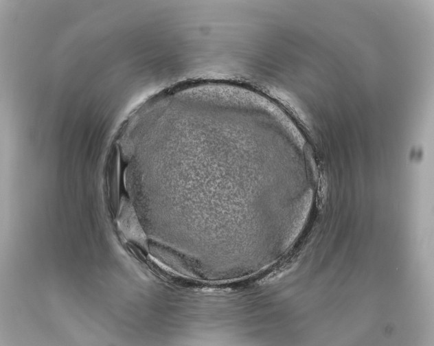 X0000091090680200709041303