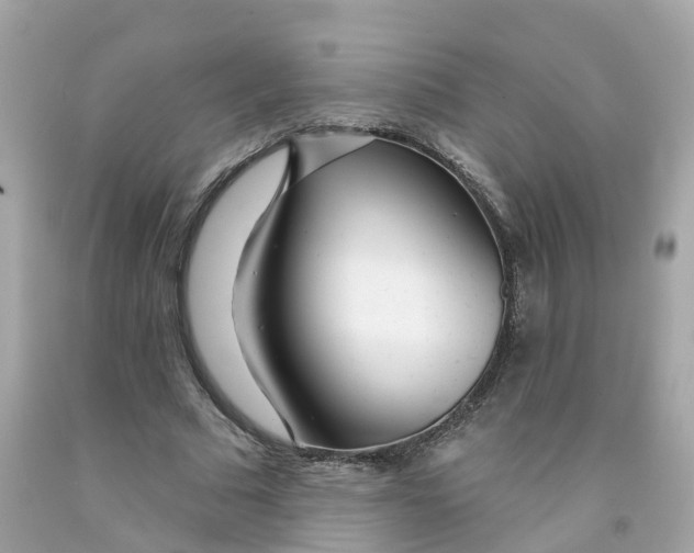 X0000091090681200709041303