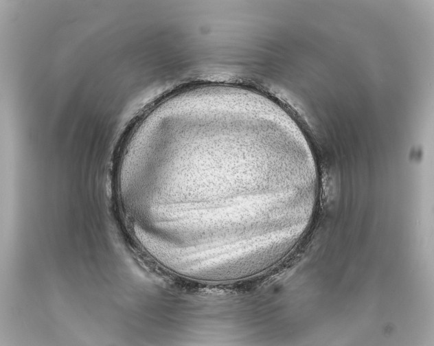 X0000091090682200709041303